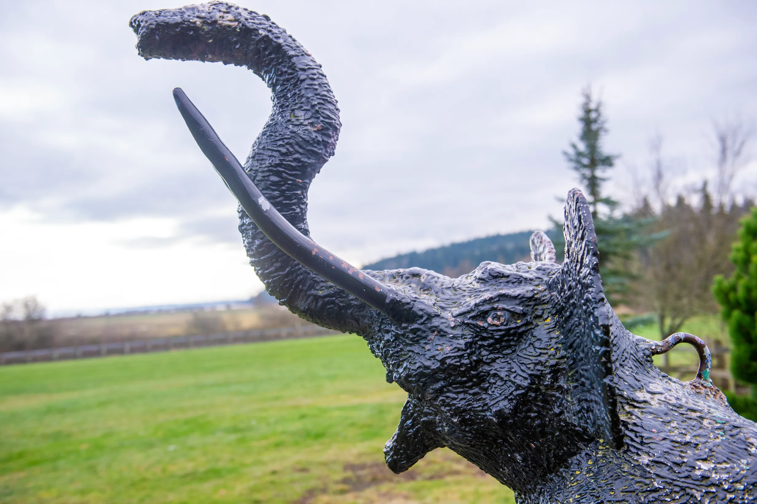 Elly at Freedom Park — Camano Island, WA