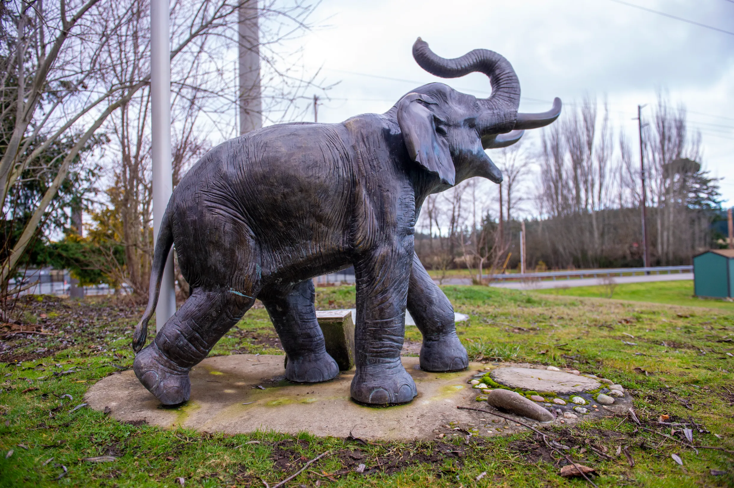 Lisa the Elephant at Freedom Park — Camano Island, WA