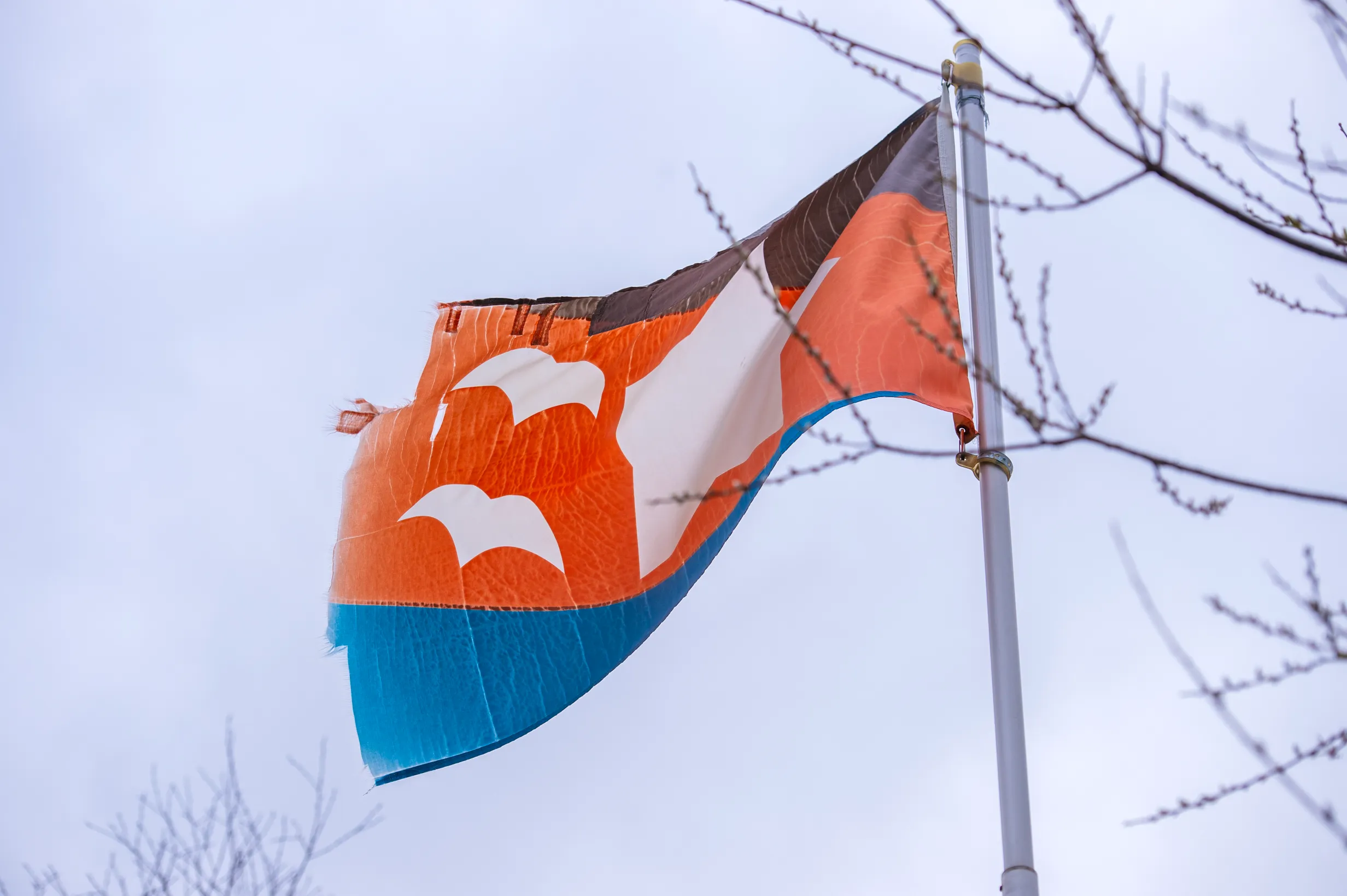 Flag of Peace on Sandy Hill at Freedom Park — Camano Island, WA