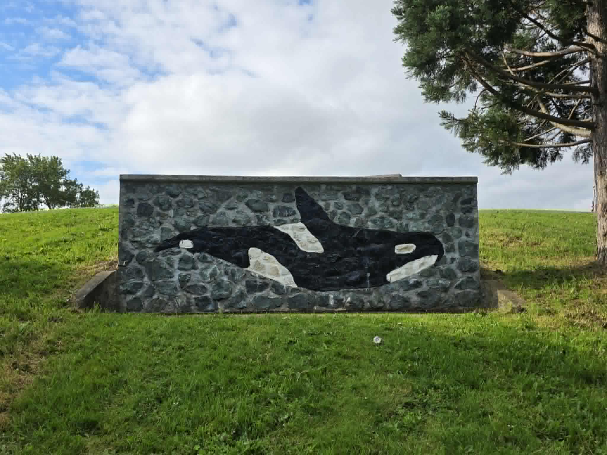 ORCA at Freedom Park — Camano Island, WA